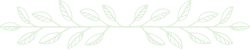 divider-3
