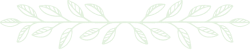 divider-4